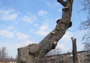 ��� ������ ������� ������������ ����� ����������� �������� � ���������