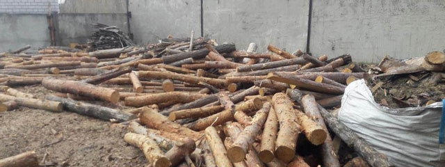 В Днепропетровской области СБУ разоблачила два предприятия - незаконных экспортеров лесопродукции