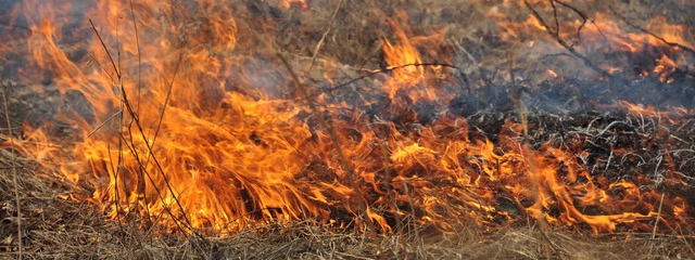  ���������� ���� ������� �  ������ ������� ����� ����� ����� ��������������!