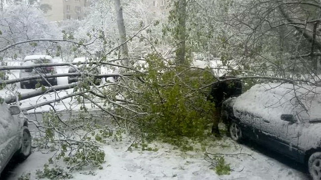 � ��������� ��������� ������� ������� � �����