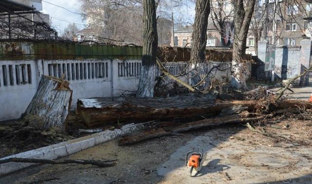 � ����� ������������ ��������� �������� ������� ������