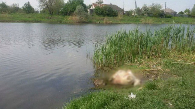 В Днепре женщина задушила свекровь на глазах у маленькой дочери