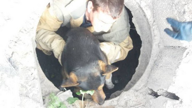 � ���'�������� ������������ ��������� ������ ������, ���� ���������� � �������� 