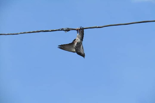 � ��������� ������ ������, ������������� � �������������