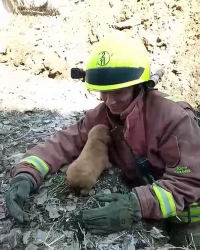 � ������ ��������� ������� ����� �� �������� ���