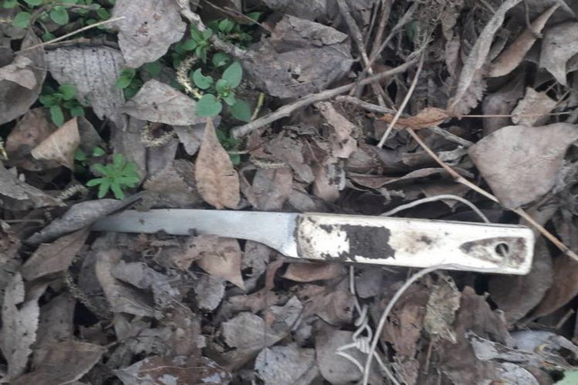 � ��������� � �������� ��������� � ����� ����� �� �������