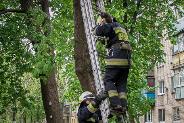 ����������� ��������� ���������� �������� ��������