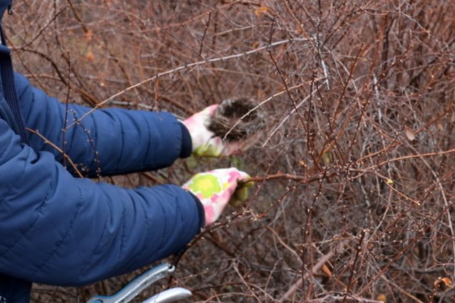 Днепрян призывают беречь яйца!