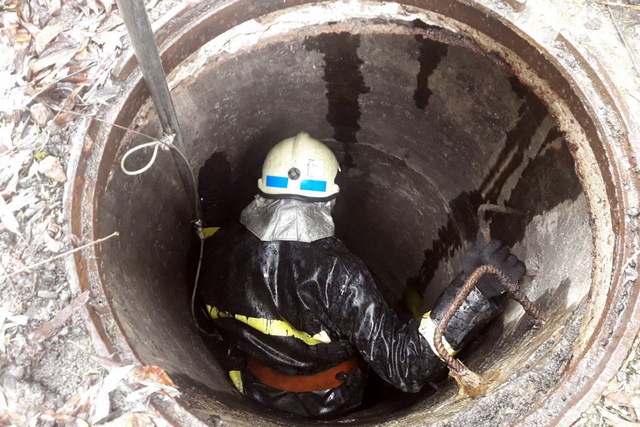 � ������ ��������� ������� ������ �� 3-��������� �������