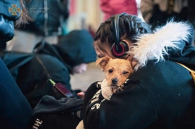 ���: ����� �������� �� ������� �� ���� ����� ��������� 4,2 ��������