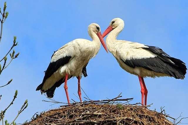 �� ���������������� �������� ������