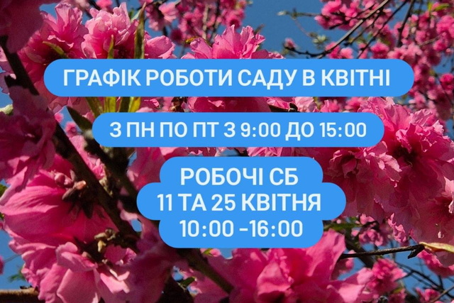 ����� ��������, � ����� ��� ���� ������ ������ ������ � ������