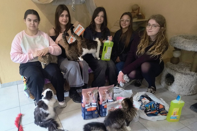 �������� ������ �������� ���������� ��������