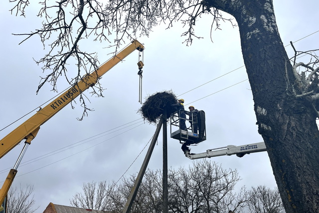 � ���� �� ���������������� ����������  ���������� ��� ����� ��������� ��� ����� ������