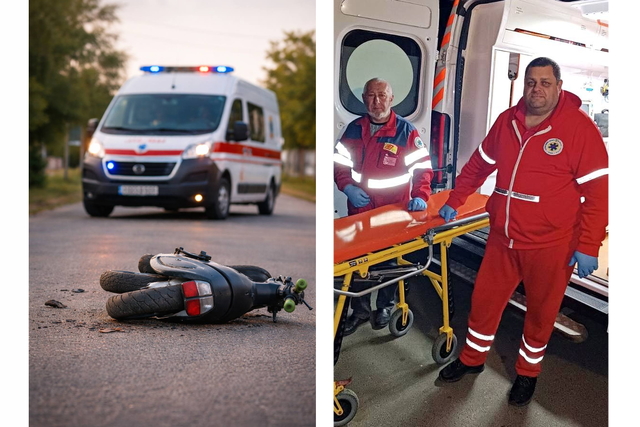 ������ ������ 11-������� ����������, ��������� � ������� ������ �� ����������������