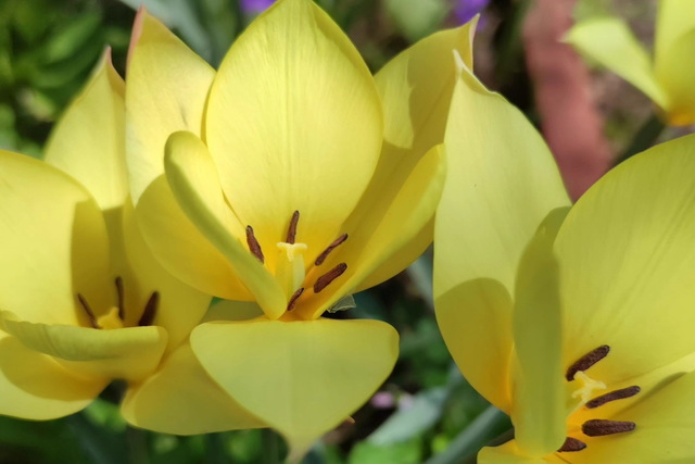 ���� ��������� ������� �� ���� �� ���� ��� �������