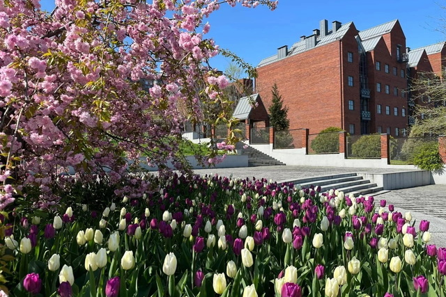 ��� � ������ ���������� ��������: ������ ��� �� �������� �������� 