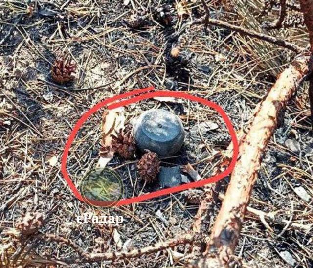 Фото: єРадар Угроза для тыла: российские мины Пряник