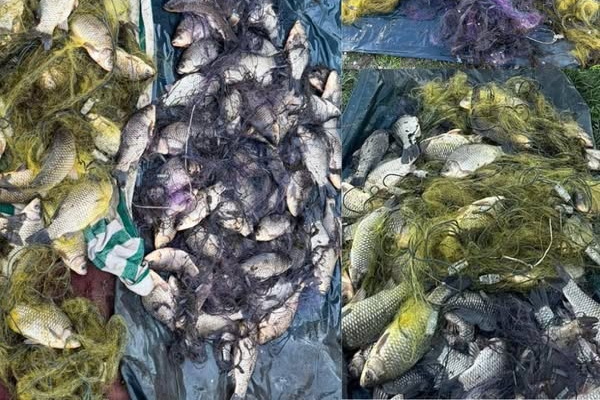 На Днепропетровщине браконьеры нанесли ущерба на 250 тысяч грн