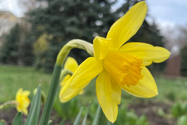 ��������� �� ����������� �����, �����. ����� ����� ������ �� ���������������� �� ���� ������