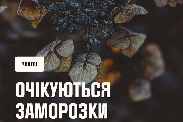 ��������  II ������� ���������: ��������� ��������� �� �����  � � �������