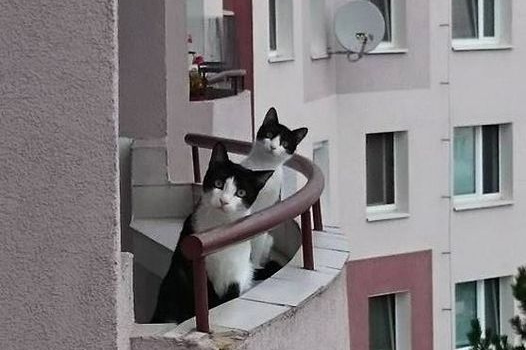 Рынок недвижимости Днепра начал оживать