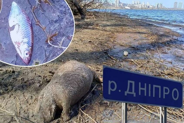 ������ ���� � ������ �� ������ � ������: ��� ������� ��������