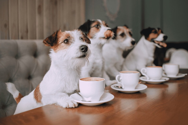 � ������ ������� �et-friendly ����-��������, ���� ����� ������ � ��������� ���������