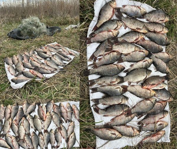 ����� �� ����� 56 ���. ���. �� ���� ������ ���� ���������� �������, ������� ���������� ���� �������