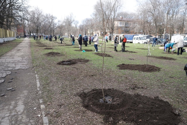 Міський департамент за 500 тисяч проведе в Дніпрі серію семінарів з озеленення