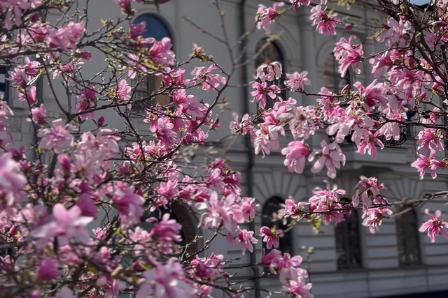 � ������ ����������� ����� �������� � ����� ������