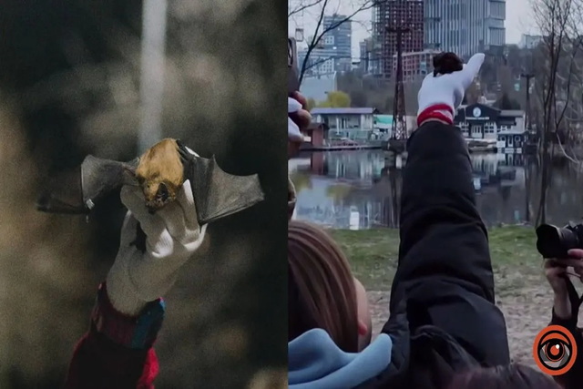 � �����  �� ���� ��������� 250 ���������� ������ �������