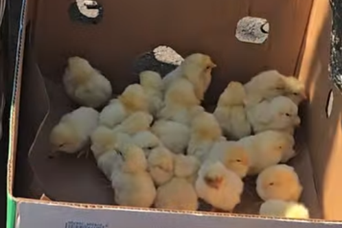 �� ���� �������� ������ ������ ����� ������ 400 ����� ������