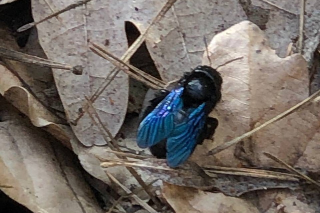 � ����������-��������� ����������� ����� �������� �� ������� �����