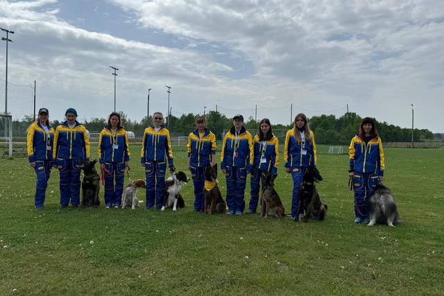 ���������� �������������� ������ �������� ��������� � ���������� ����