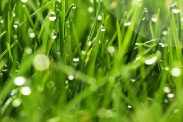 � ������ � ����� ��������� �������� ����������� �� ��������� ���