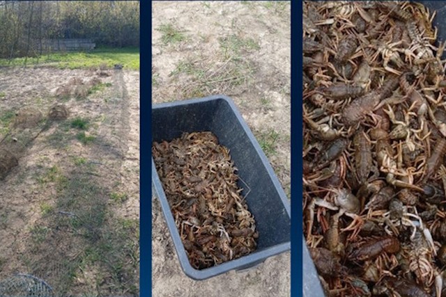 ���������� ���������������� ������ ����� 200 ����� �� ������������� �������