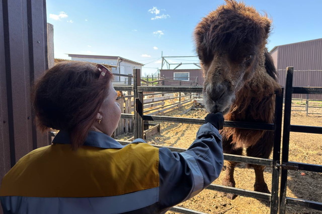 ���������� ������ ����������� ���������� �������� � �������� �����