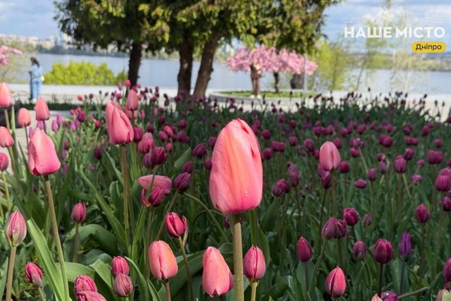 ���� �� �������: ��������� �������� ����� �������� � ������ ������� � ��������� � �������