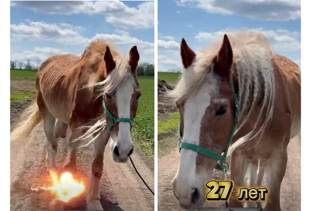 � �������� ������ ������ ������� ����-�������� � �������� ���������