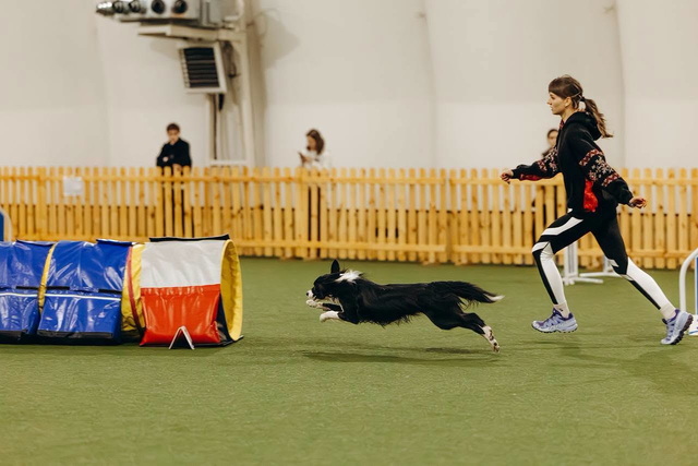 �������� �������������� ���������� ������ �������� ��������� 10 ������� �� ������������ ����������