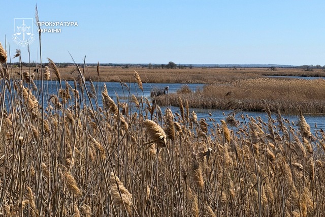 ������ ������ ������������� ����� ��� �������� ���������: ����������� ���������� ���������� �������� ����� � ��������� �������