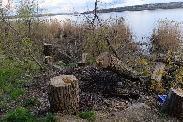 ������ ������ ��������� ����� ������ ��������� ���������� ��������