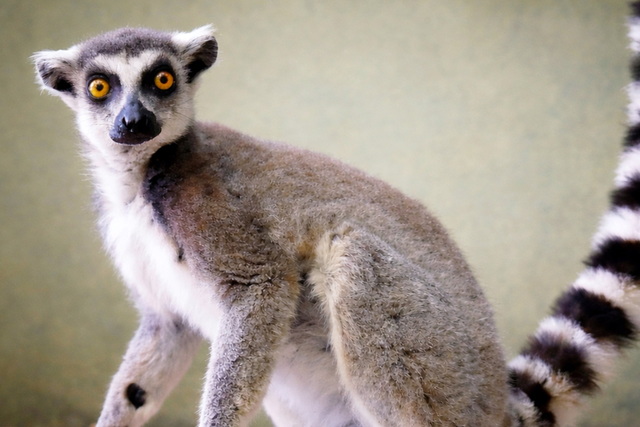 ��������� ����� �� ���������������� ����������������� � �����