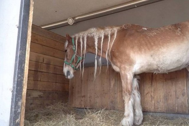 �ϳ� ��� ������� ������ �������� �� ��� � �����. � �������� ����� 27-����� ��� �������