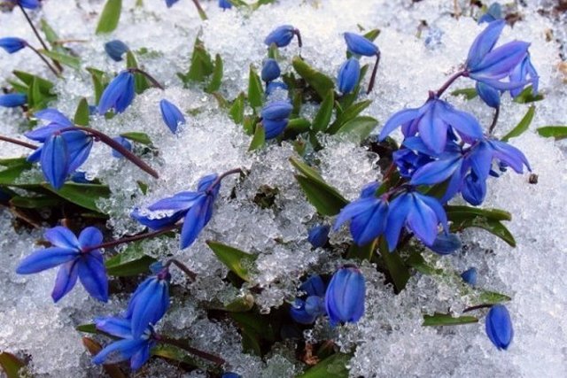 �� ������ � ����� ����: ������� ������ �� ��������� ���