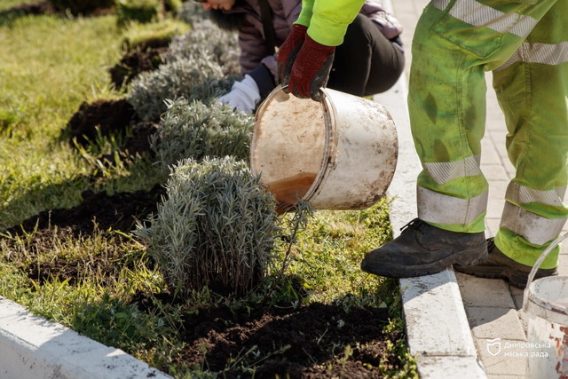 � ������ ���������� �������� ������ #������_�������: �������� ������� �����, ������ � ��������� �����