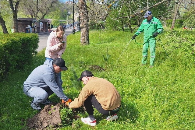 #������_�������: �� ������������ ������� �������� �������