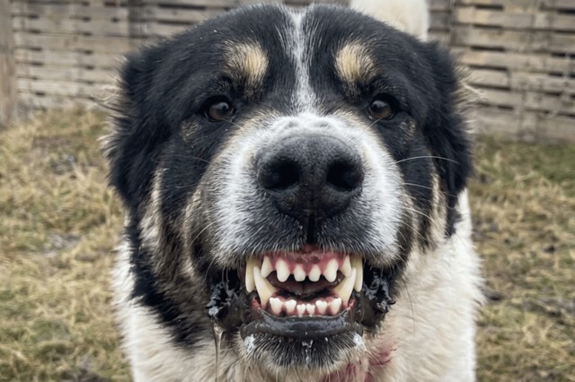 ��������� ������� ���������� ������� ��� �� ����������������