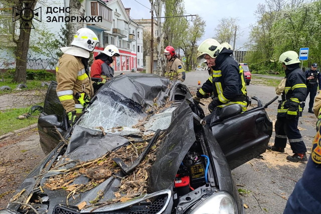 ������������� ������� ��� ���������� ���������� ����������� ��������